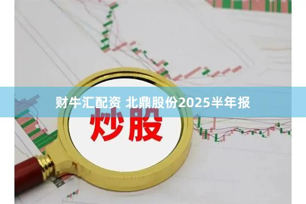 财牛汇配资 北鼎股份2025半年报